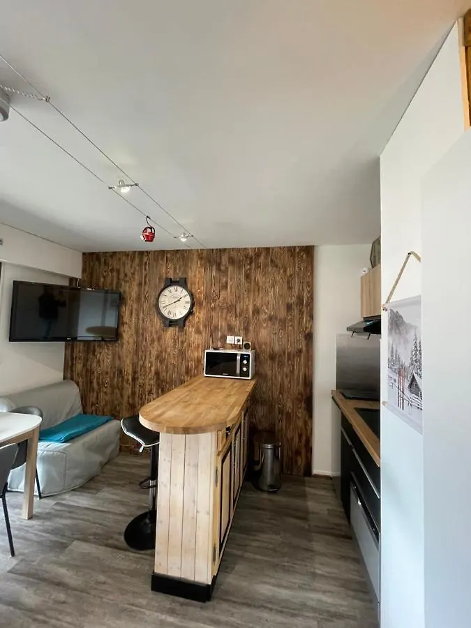 Superbe Studio De Montagne Entierement Renove Morzine